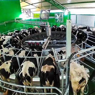 Rotary Sağım Sistemi